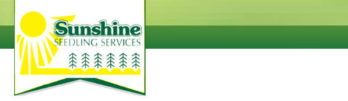 Logo Sunshine Seedling services