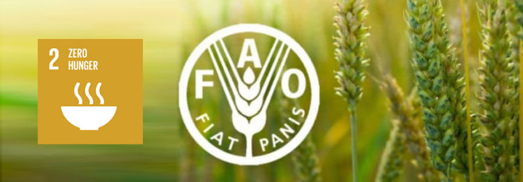 Logotipo FAO FIAT PANIS Objetivo-2 Cero Hambre