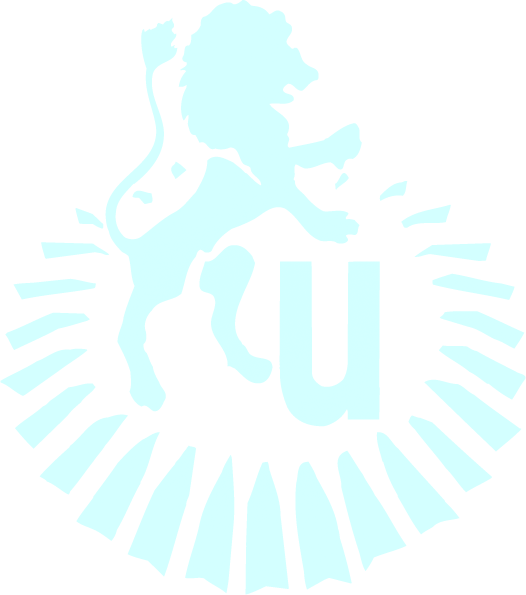 Logo Urbinati Srl 